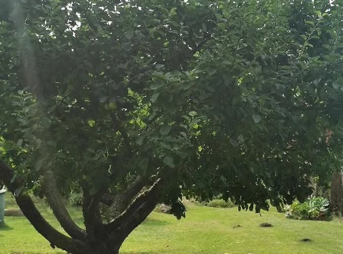 Pension zum Park
